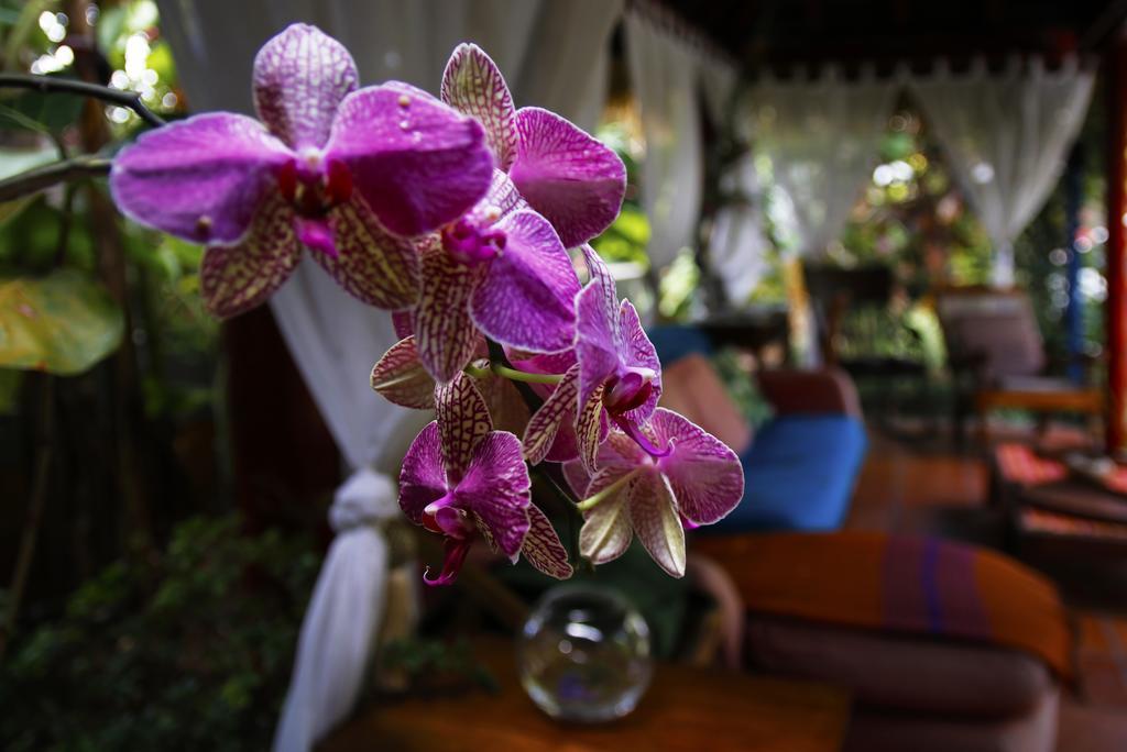Villa Dazkarizeh73 à Ribeira Brava Extérieur photo